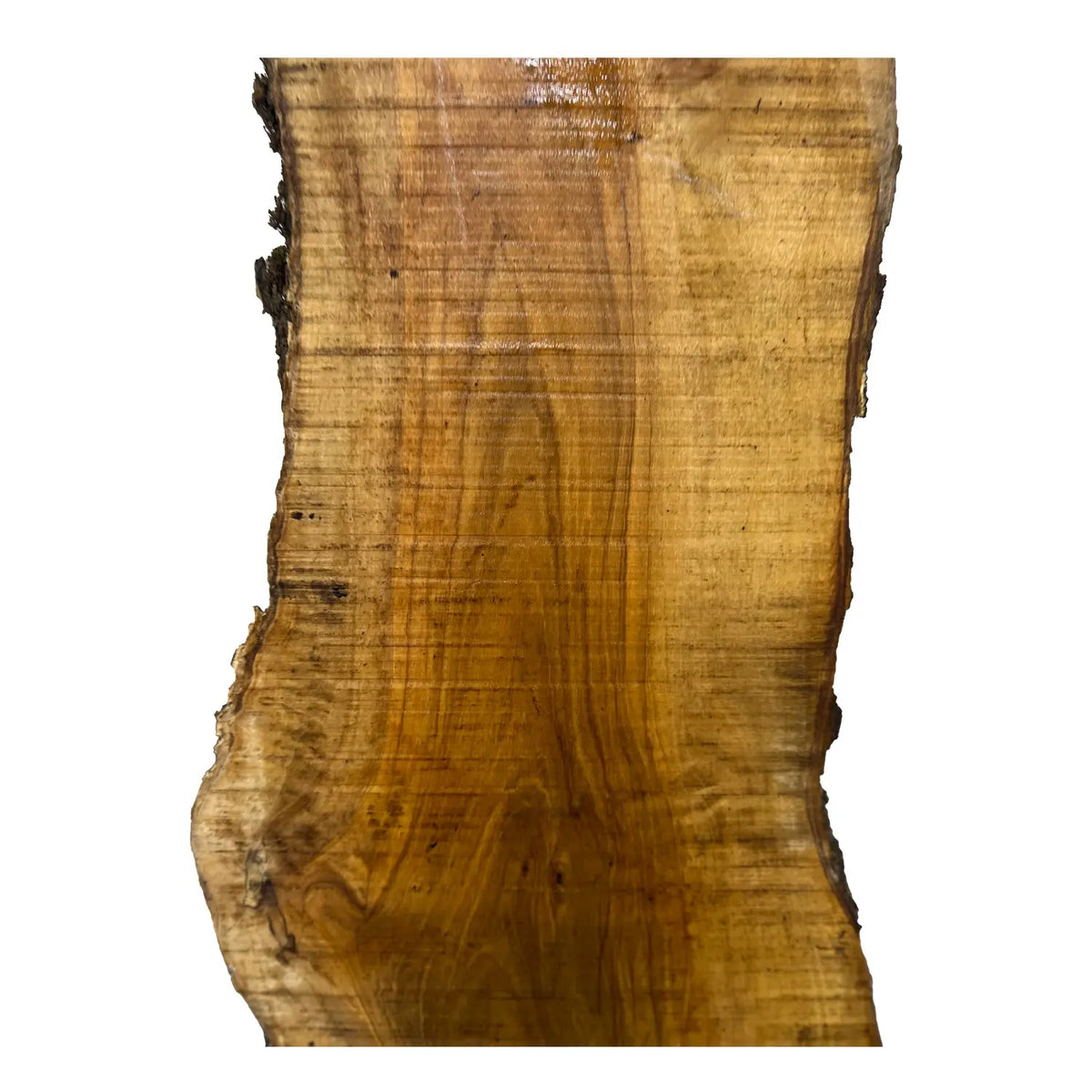 Beautiful Olivewood Live Edge Slab - 76" x 10" x 1", #173 - Exotic Wood Zone - Buy online Across USA 