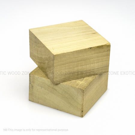 Yellow Poplar Wood Bowl Blanks - Exotic Wood Zone - Buy online Across USA 