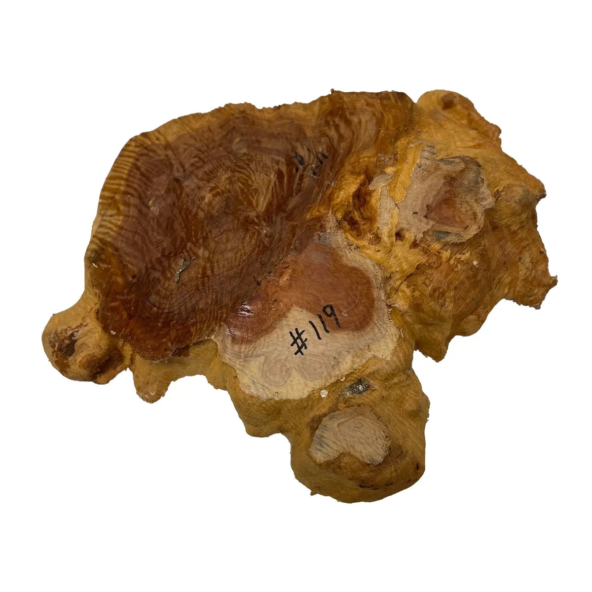 Red Coolibah Burl Cookies | 16" x 11" x 1-1/4" | 8.85 lbs | #119 - Exotic Wood Zone - Buy online Across USA 