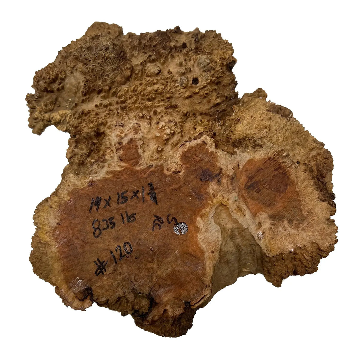 Red Coolibah Burl Cookies | 15" x 14" x 1-3/4" | 8.35 lbs | #120 - Exotic Wood Zone - Buy online Across USA 