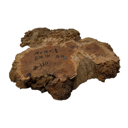 Red Coolibah Burl Cookies | 15" x 14" x 1-3/4" | 8.35 lbs | #120 - Exotic Wood Zone - Buy online Across USA 