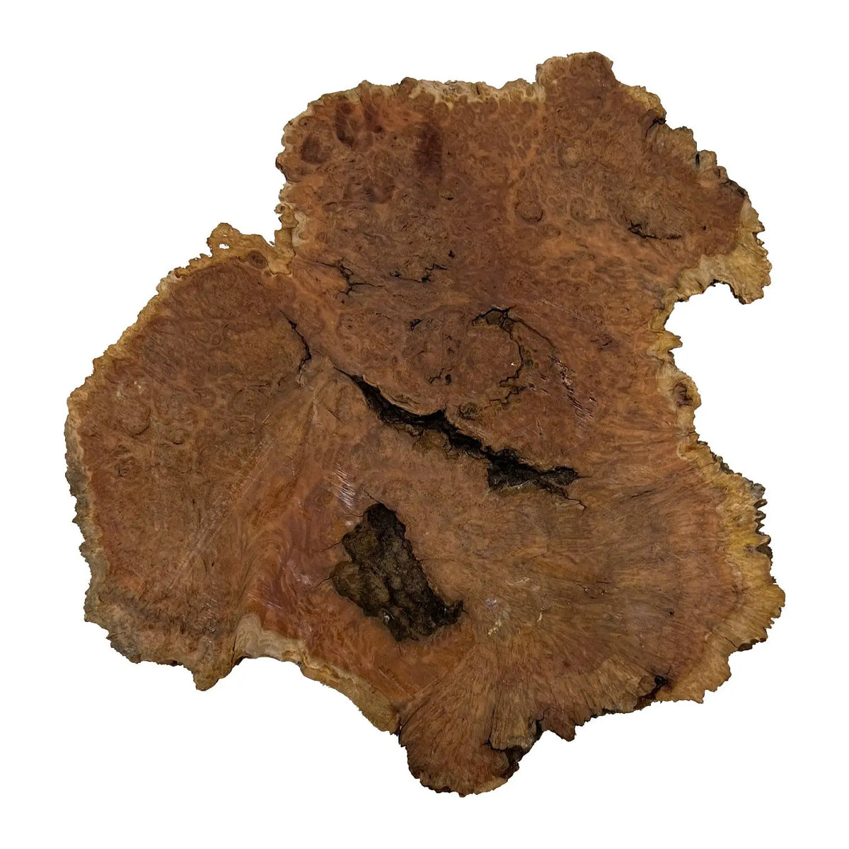 Red Coolibah Burl Cookies | 15" x 14" x 1-3/4" | 8.35 lbs | #120 - Exotic Wood Zone - Buy online Across USA 