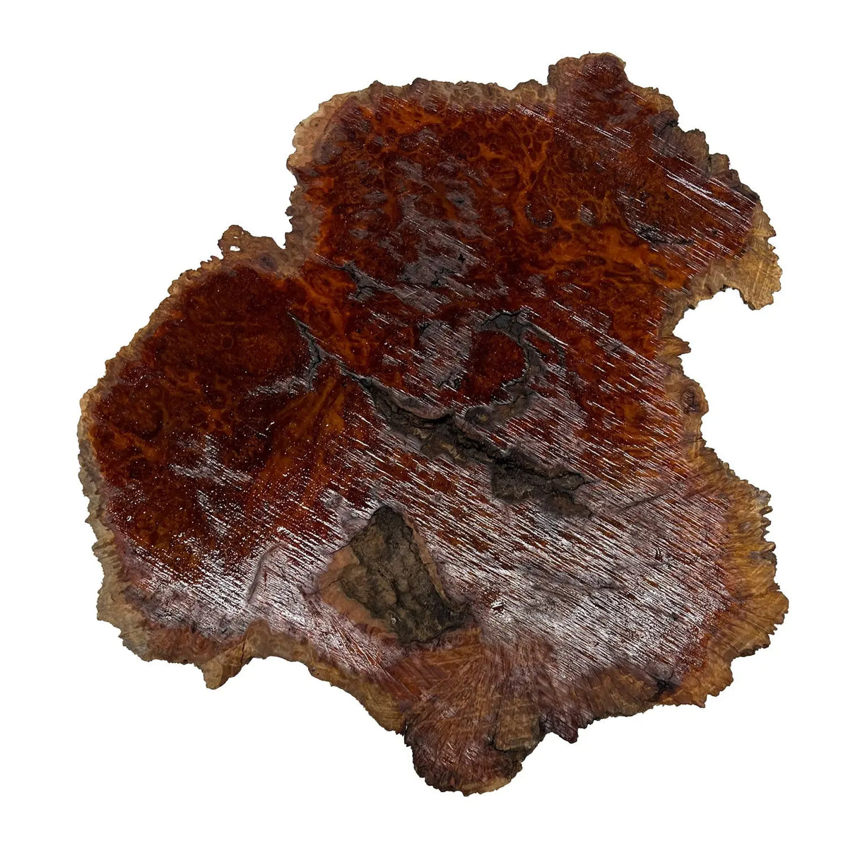 Red Coolibah Burl Cookies | 15" x 14" x 1-3/4" | 8.35 lbs | #120 - Exotic Wood Zone - Buy online Across USA 