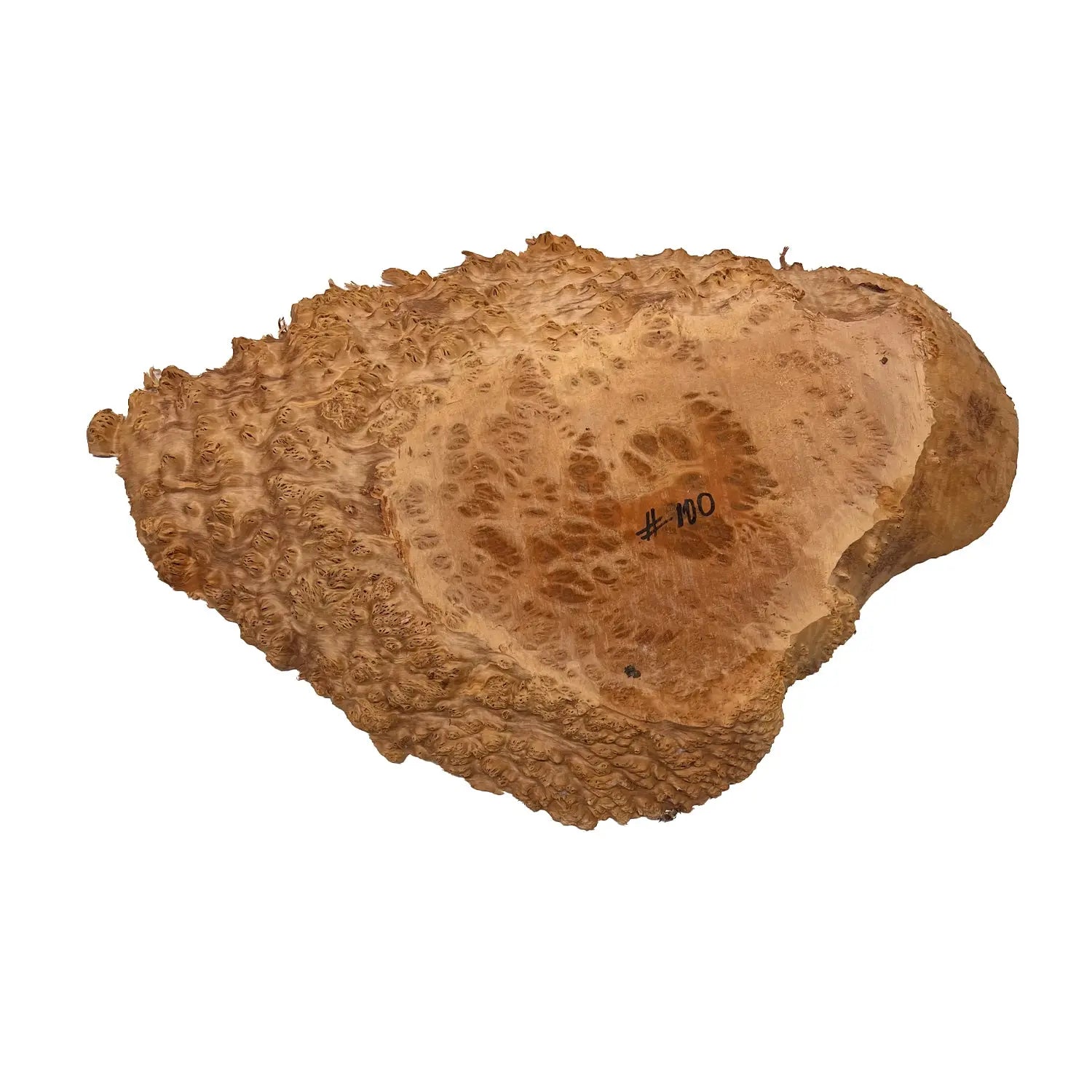 Red Coolibah Burl Cookies | 21" x 13" x 1-3/4" | 10.65 lbs | #100 - Exotic Wood Zone - Buy online Across USA 