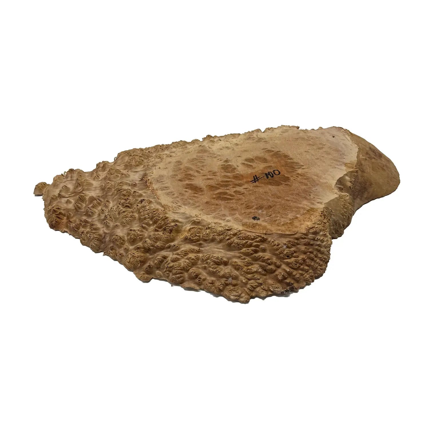 Red Coolibah Burl Cookies | 21" x 13" x 1-3/4" | 10.65 lbs | #100 - Exotic Wood Zone - Buy online Across USA 