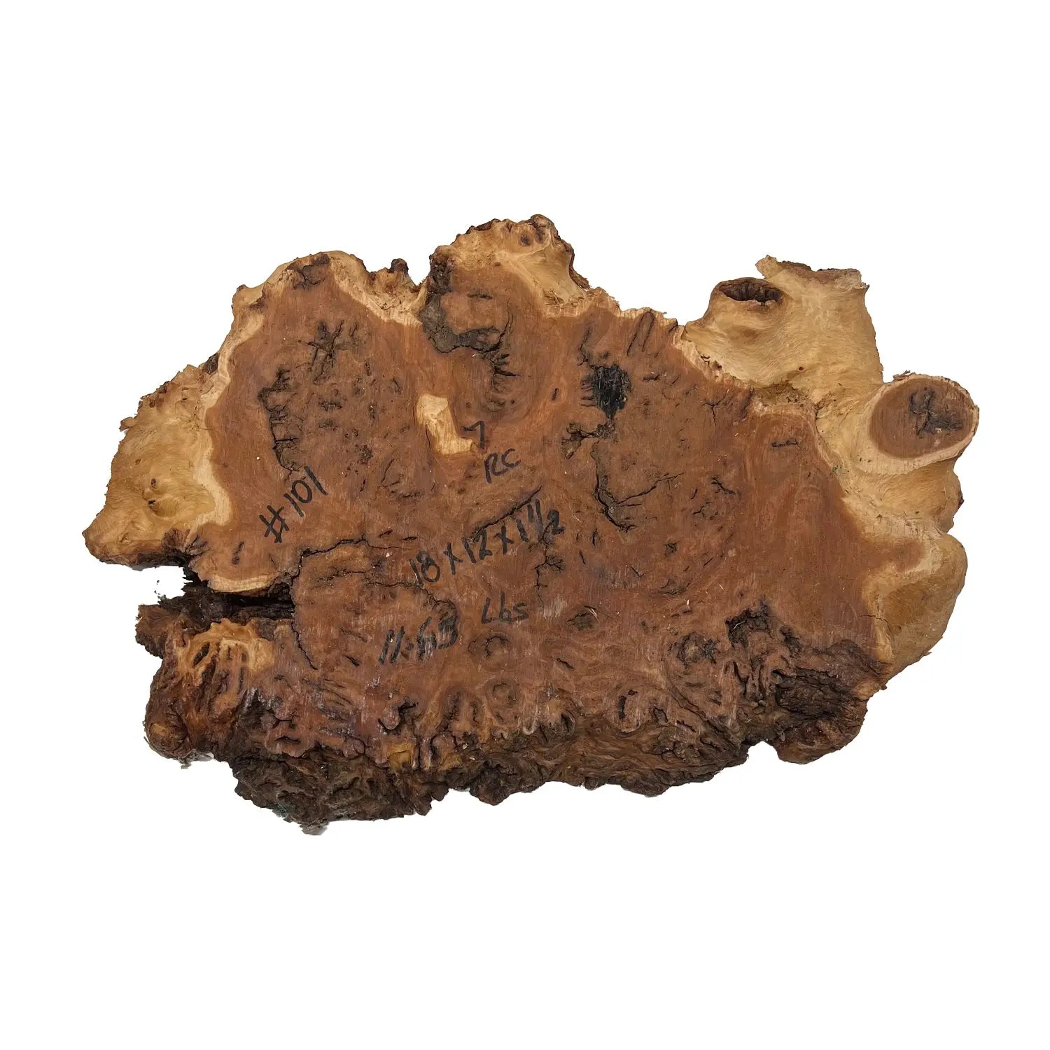 Red Coolibah Burl Cookies | 18" x 12" x 1-1/2" | 11.65 lbs | #101 - Exotic Wood Zone - Buy online Across USA 