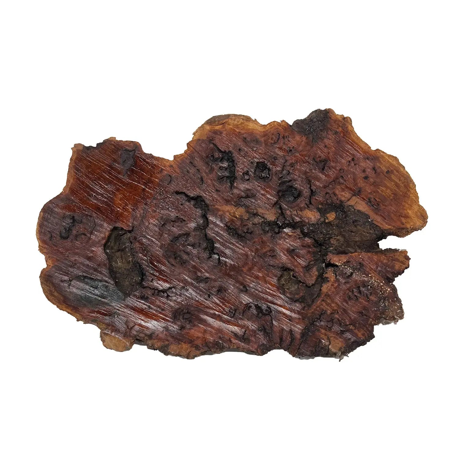 Red Coolibah Burl Cookies | 18" x 12" x 1-1/2" | 11.65 lbs | #101 - Exotic Wood Zone - Buy online Across USA 