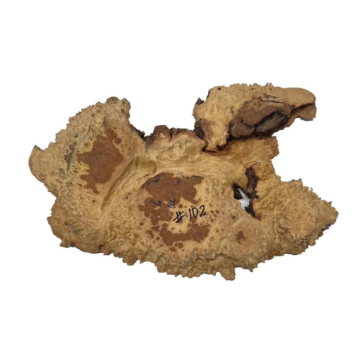 Red Coolibah Burl Cookies | 20" x 11" x 1-1/2" | 8.55 lbs | #102 - Exotic Wood Zone - Buy online Across USA 