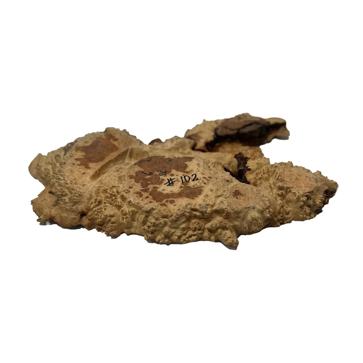 Red Coolibah Burl Cookies | 20" x 11" x 1-1/2" | 8.55 lbs | #102 - Exotic Wood Zone - Buy online Across USA 