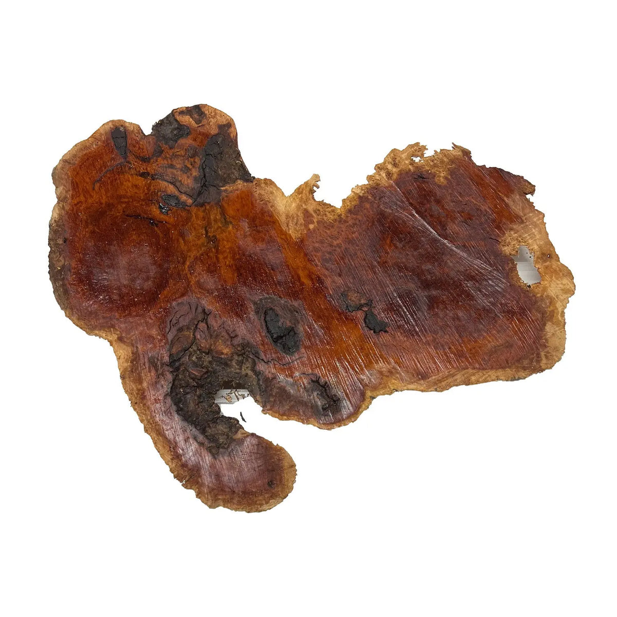 Red Coolibah Burl Cookies | 18" x 10" x 1-3/4" | 8.3 lbs | #103 - Exotic Wood Zone - Buy online Across USA 