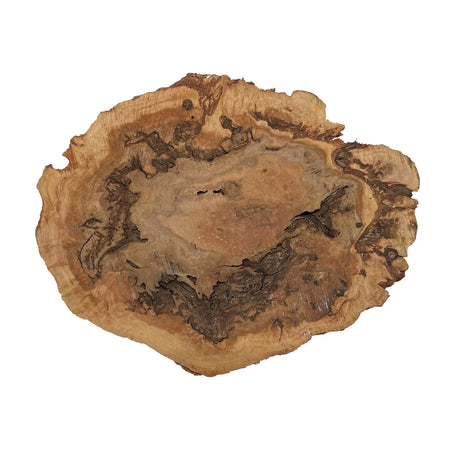 Red Coolibah Burl Cookies | 15" x 12" x 2" | 9.65 lbs | #106 - Exotic Wood Zone - Buy online Across USA 