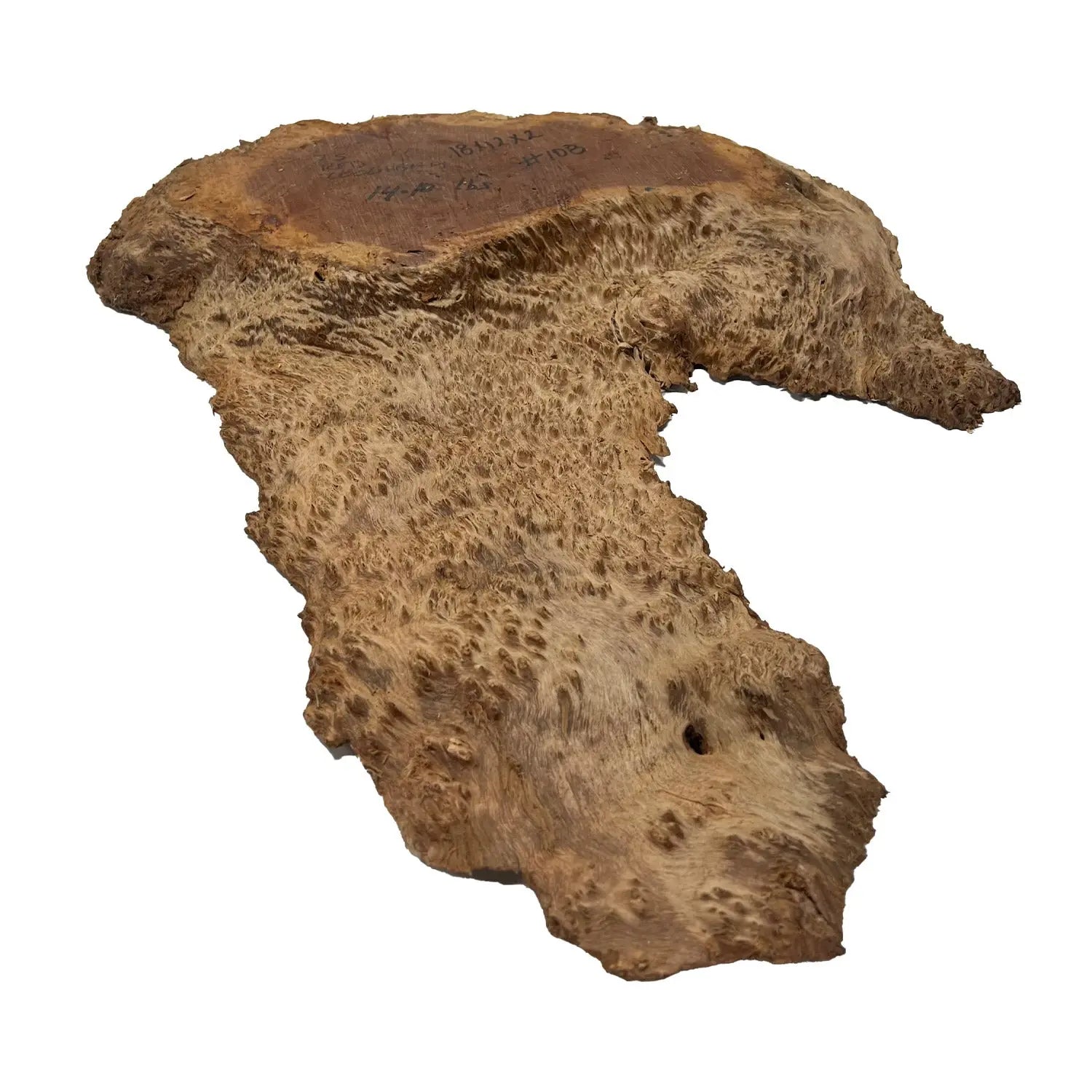 Red Coolibah Burl Cookies | 18" x 12" x 2" | 14.1 lbs | #108 - Exotic Wood Zone - Buy online Across USA 