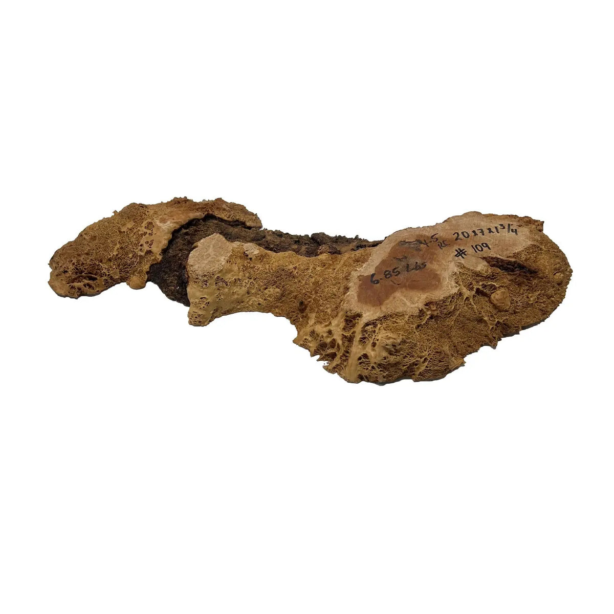 Red Coolibah Burl Cookies | 20" x 7" x 1-3/4" | 6.85 lbs | #109 - Exotic Wood Zone - Buy online Across USA 