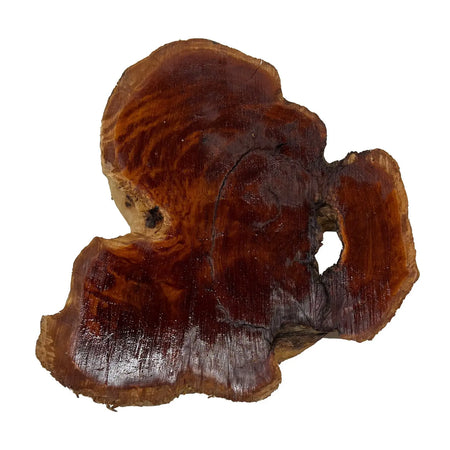 Red Coolibah Burl Cookies | 13" x 10" x 2-1/4" | 9.2 lbs | #110 - Exotic Wood Zone - Buy online Across USA 