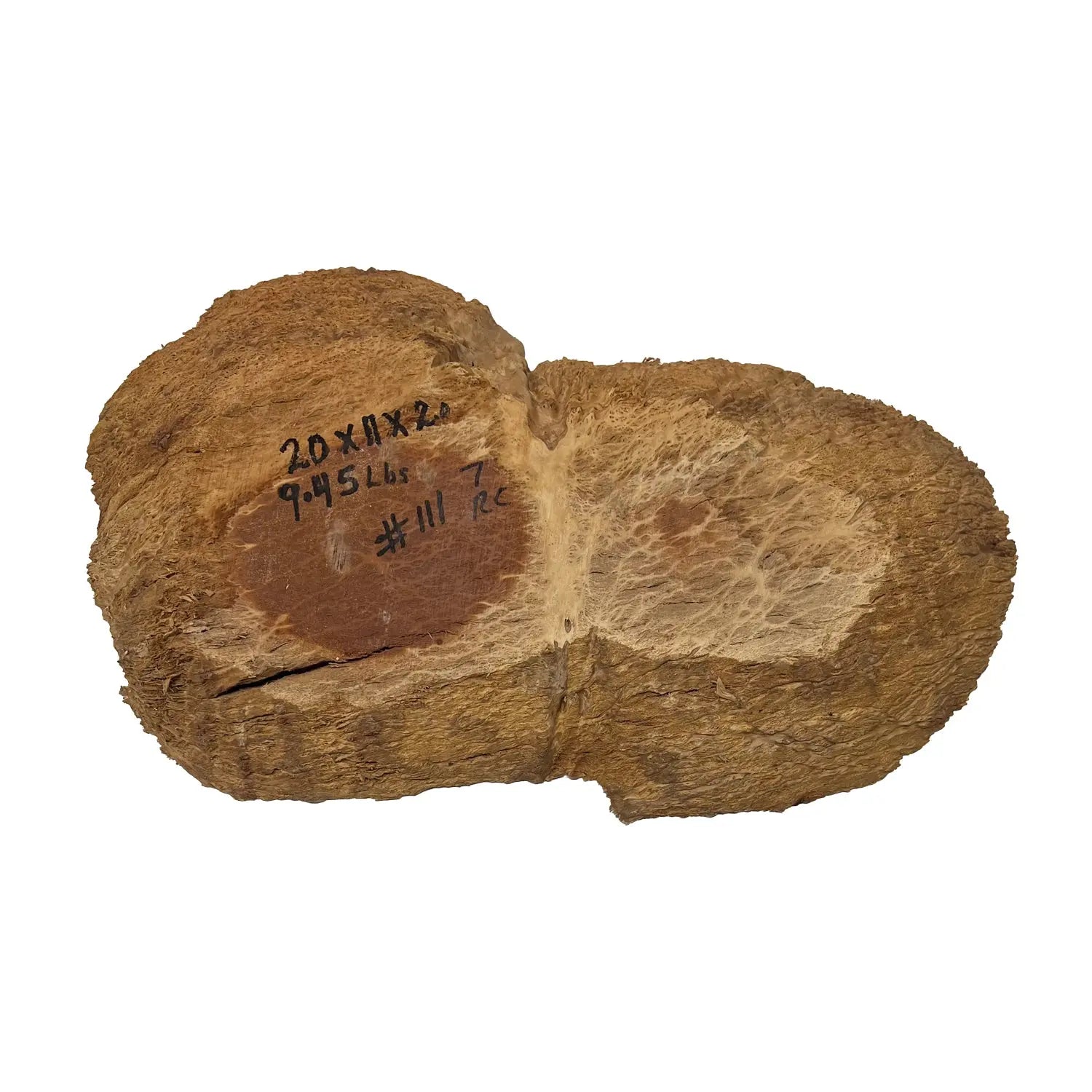 Red Coolibah Burl Cookies | 20" x 11" x 2" | 9.45 lbs | #111 - Exotic Wood Zone - Buy online Across USA 