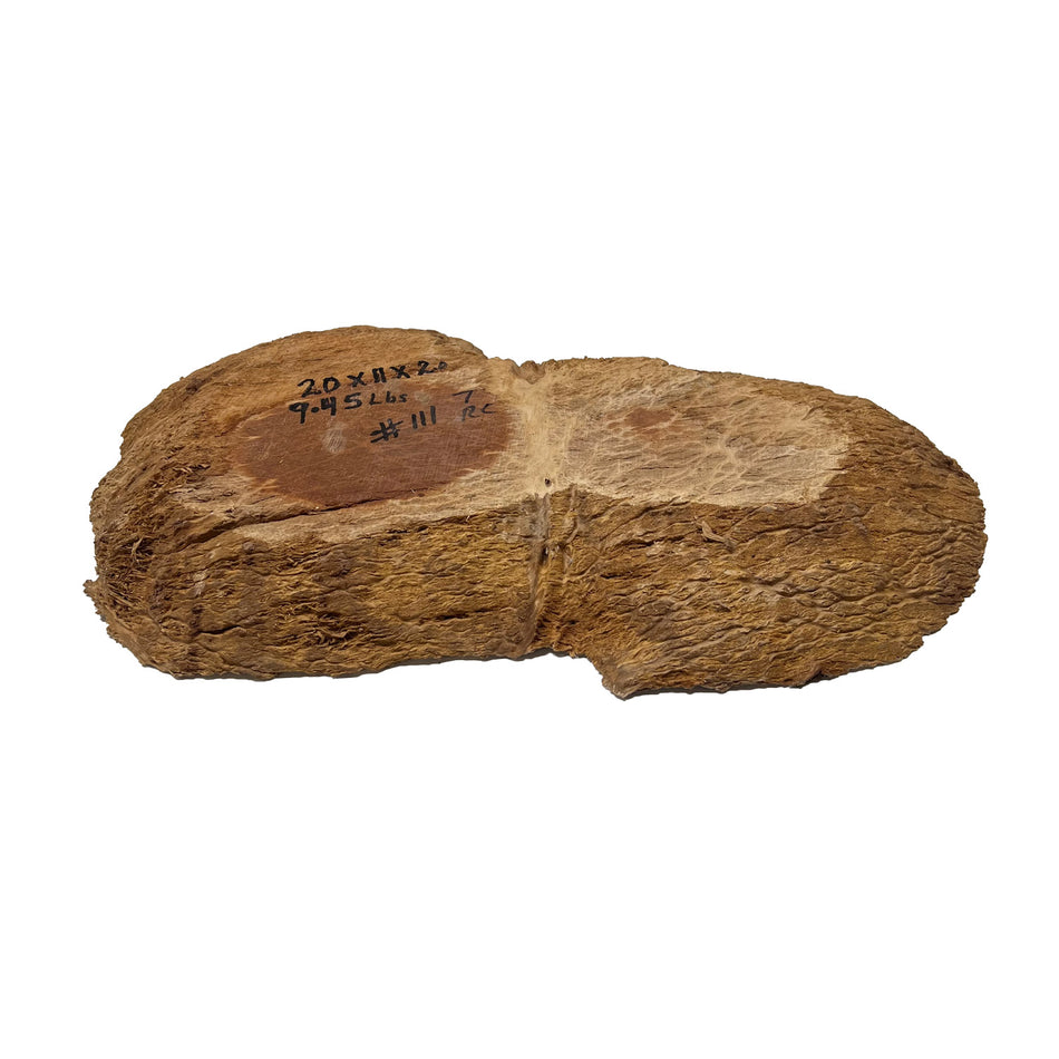 Red Coolibah Burl Cookies | 20" x 11" x 2" | 9.45 lbs | #111 - Exotic Wood Zone - Buy online Across USA 