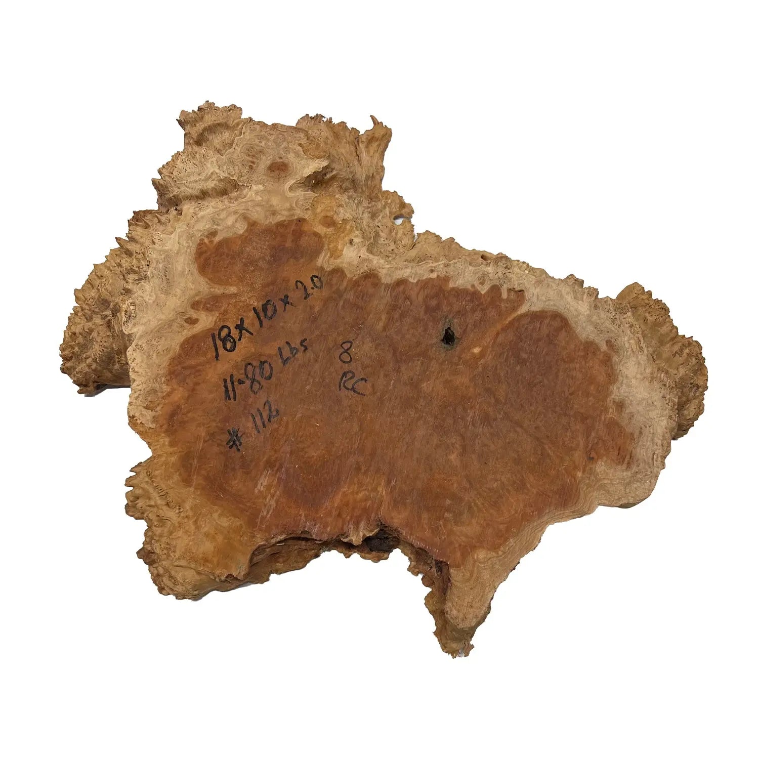 Red Coolibah Burl Cookies | 18" x 10" x 2" | 11.8 lbs | #112 - Exotic Wood Zone - Buy online Across USA 