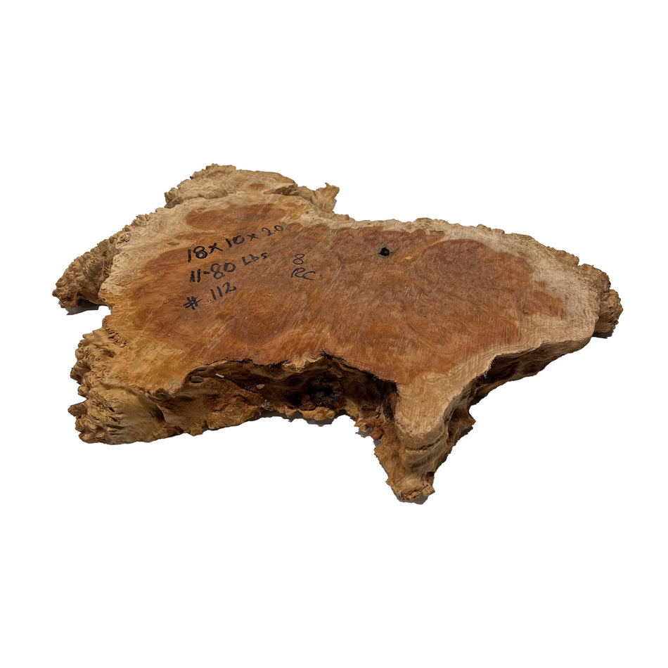 Red Coolibah Burl Cookies | 18" x 10" x 2" | 11.8 lbs | #112 - Exotic Wood Zone - Buy online Across USA 