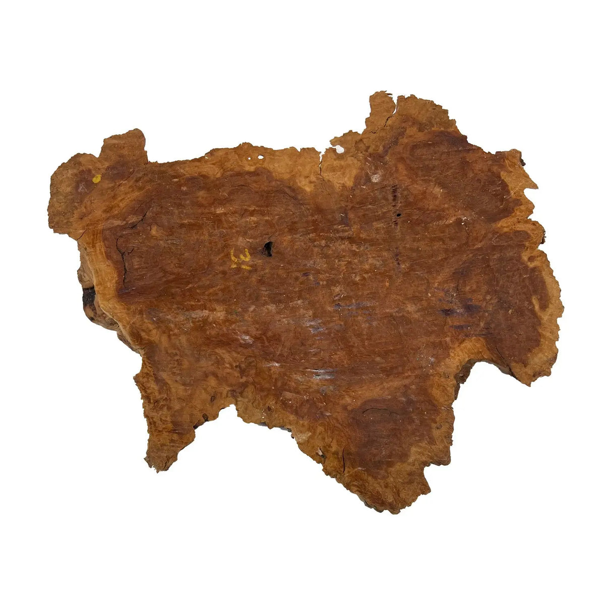 Red Coolibah Burl Cookies | 18" x 10" x 2" | 11.8 lbs | #112 - Exotic Wood Zone - Buy online Across USA 