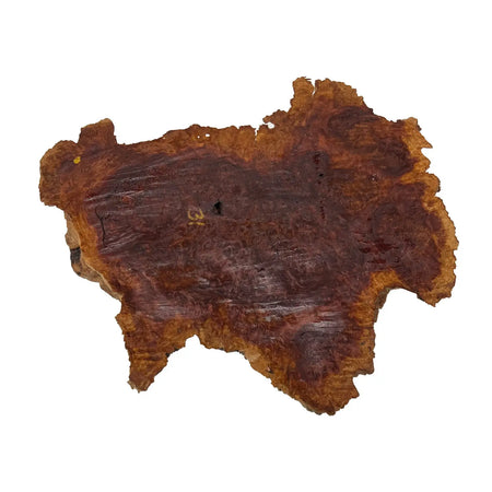 Red Coolibah Burl Cookies | 18" x 10" x 2" | 11.8 lbs | #112 - Exotic Wood Zone - Buy online Across USA 