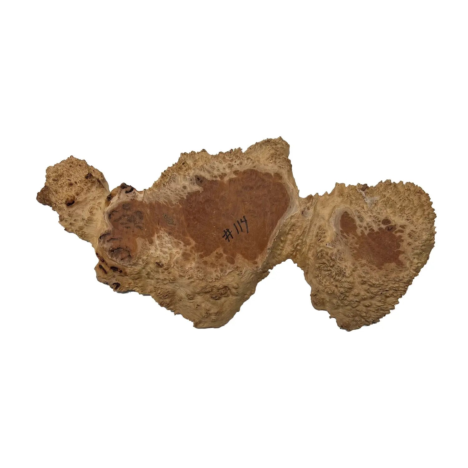 Red Coolibah Burl Cookies | 20" x 9" x 1-3/4" | 10.35 lbs | #114 - Exotic Wood Zone - Buy online Across USA 