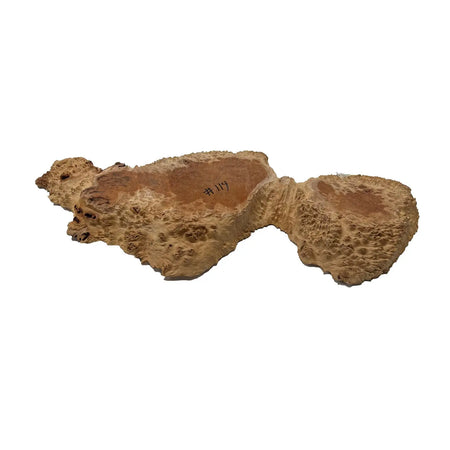 Red Coolibah Burl Cookies | 20" x 9" x 1-3/4" | 10.35 lbs | #114 - Exotic Wood Zone - Buy online Across USA 