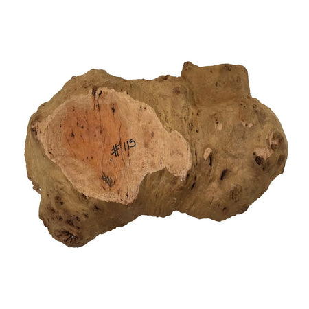 Red Coolibah Burl Cookies | 20" x 10" x 2" | 13 lbs | #115 - Exotic Wood Zone - Buy online Across USA 