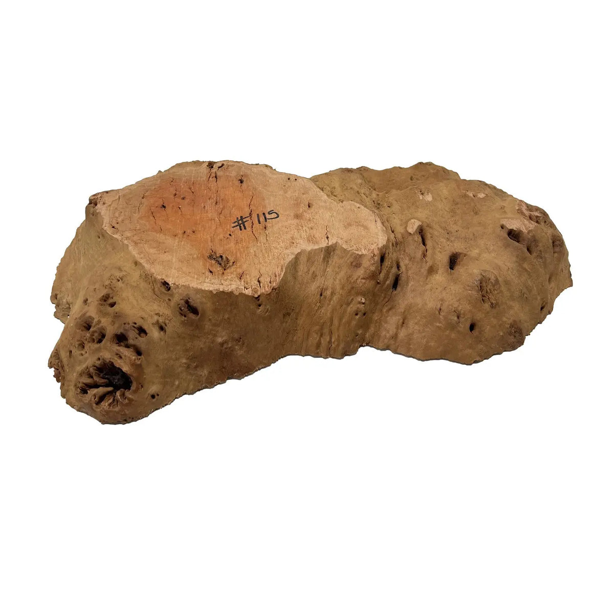 Red Coolibah Burl Cookies | 20" x 10" x 2" | 13 lbs | #115 - Exotic Wood Zone - Buy online Across USA 