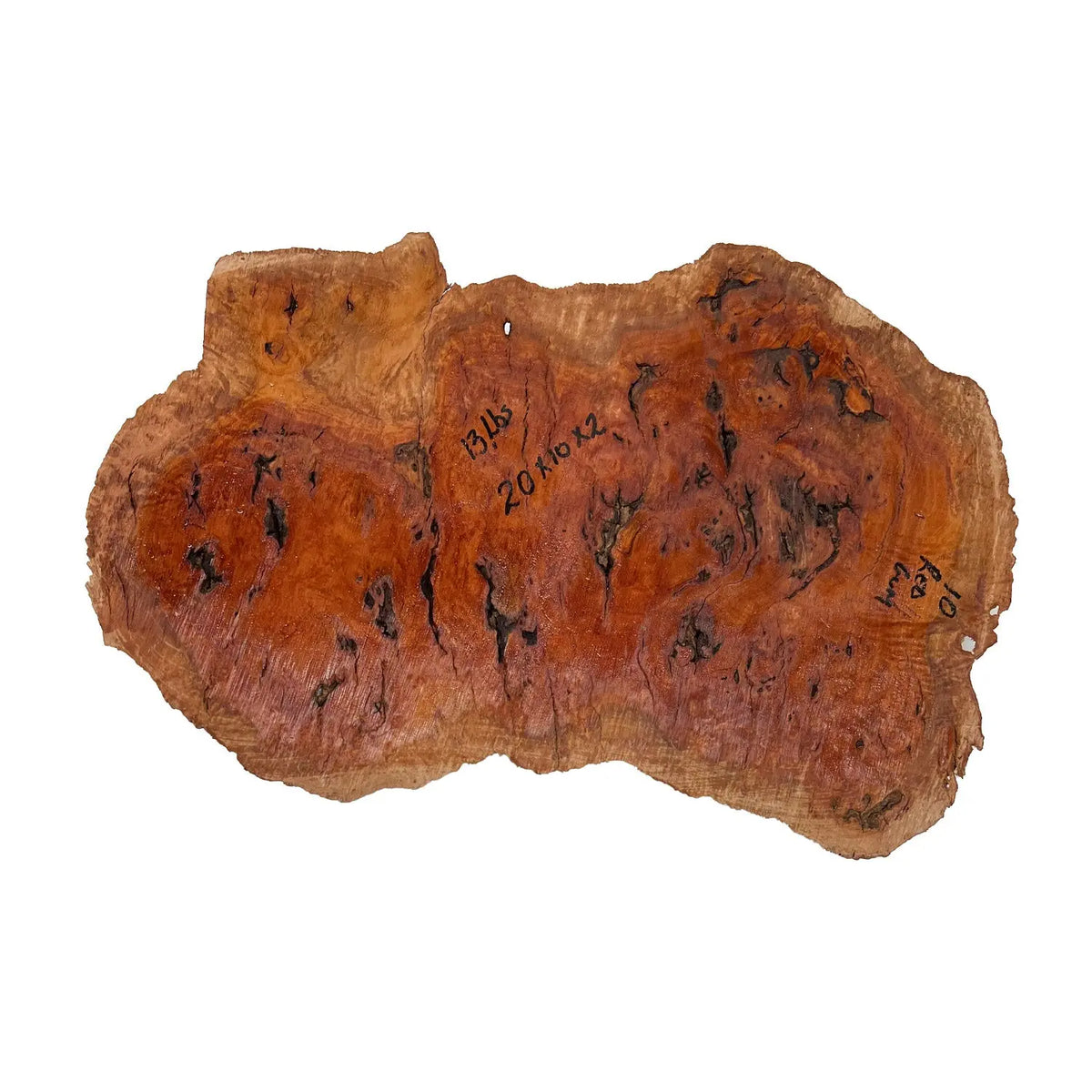 Red Coolibah Burl Cookies | 20" x 10" x 2" | 13 lbs | #115 - Exotic Wood Zone - Buy online Across USA 