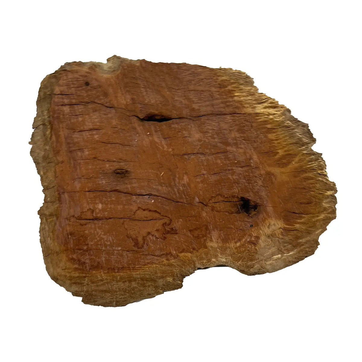 Red Coolibah Burl Cookies | 14" x 13" x 1-1/2" | 6.65 lbs | #116 - Exotic Wood Zone - Buy online Across USA 