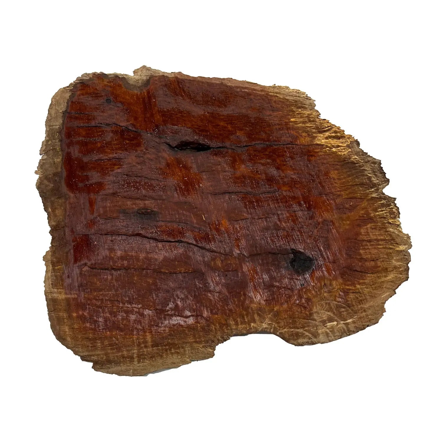 Red Coolibah Burl Cookies | 14" x 13" x 1-1/2" | 6.65 lbs | #116 - Exotic Wood Zone - Buy online Across USA 