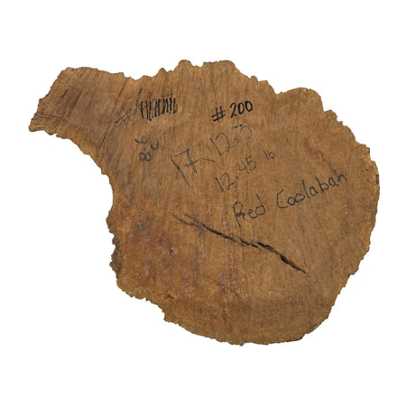 Red Coolibah Burl  | 17" x12" x 3" | 12.45 lbs | #200 - Exotic Wood Zone - Buy online Across USA 