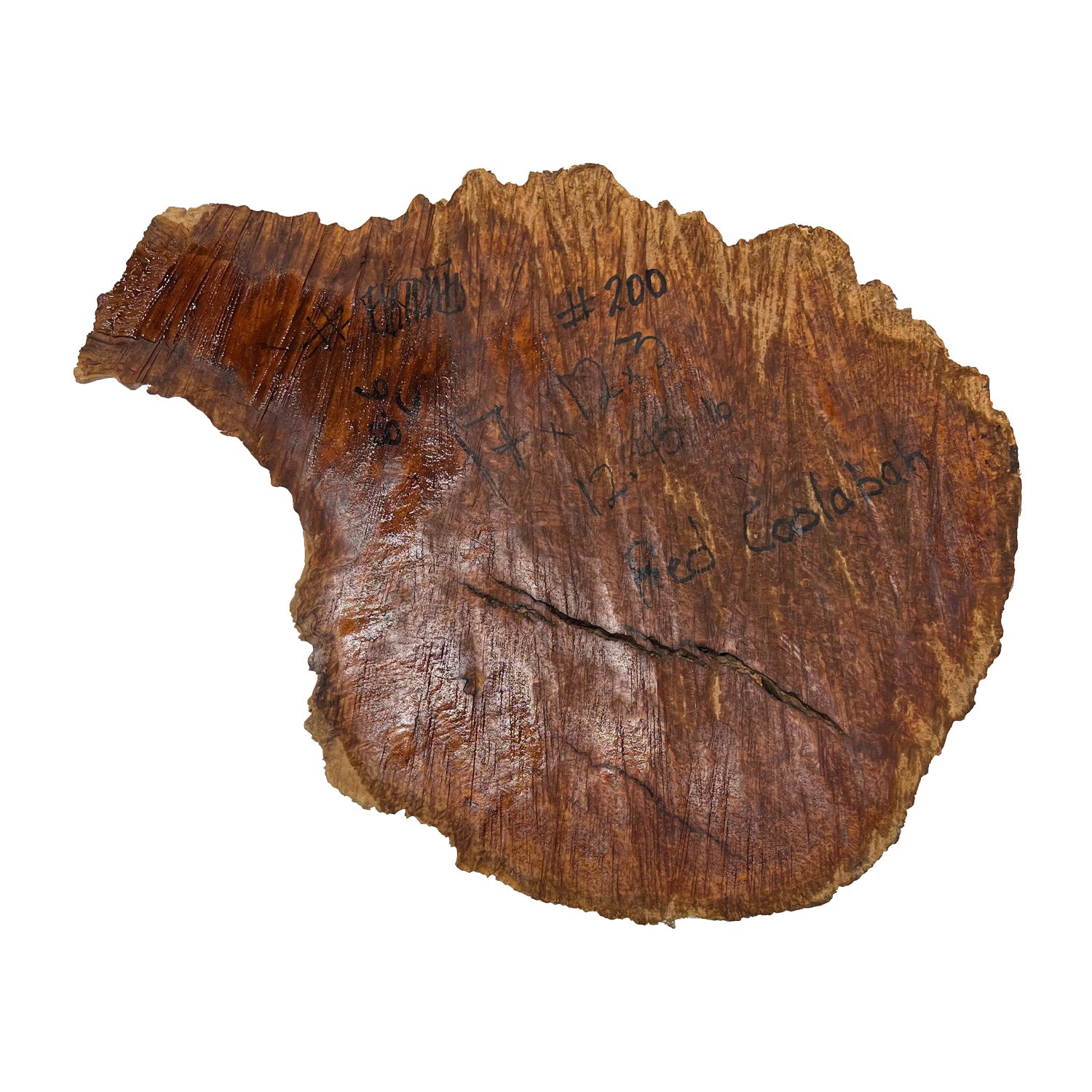 Red Coolibah Burl  | 17" x12" x 3" | 12.45 lbs | #200 - Exotic Wood Zone - Buy online Across USA 