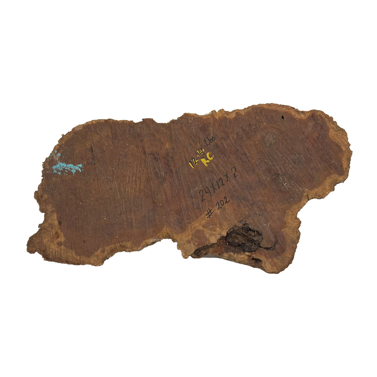 Red Coolibah Burl  | 24" x 12" x 2" | 12.4 lbs | #202 - Exotic Wood Zone - Buy online Across USA 