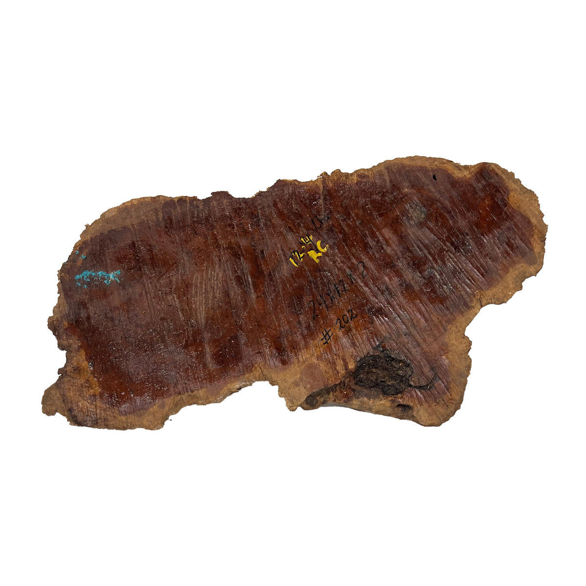 Red Coolibah Burl  | 24" x 12" x 2" | 12.4 lbs | #202 - Exotic Wood Zone - Buy online Across USA 