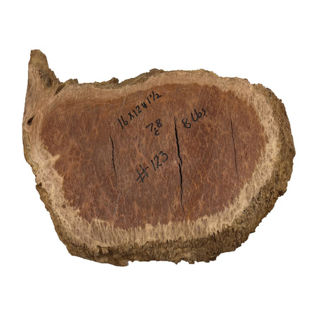 Red Coolibah Burl Cookies | 16" x 12" x 1-1/2" | 8 lbs | #123 - Exotic Wood Zone - Buy online Across USA 