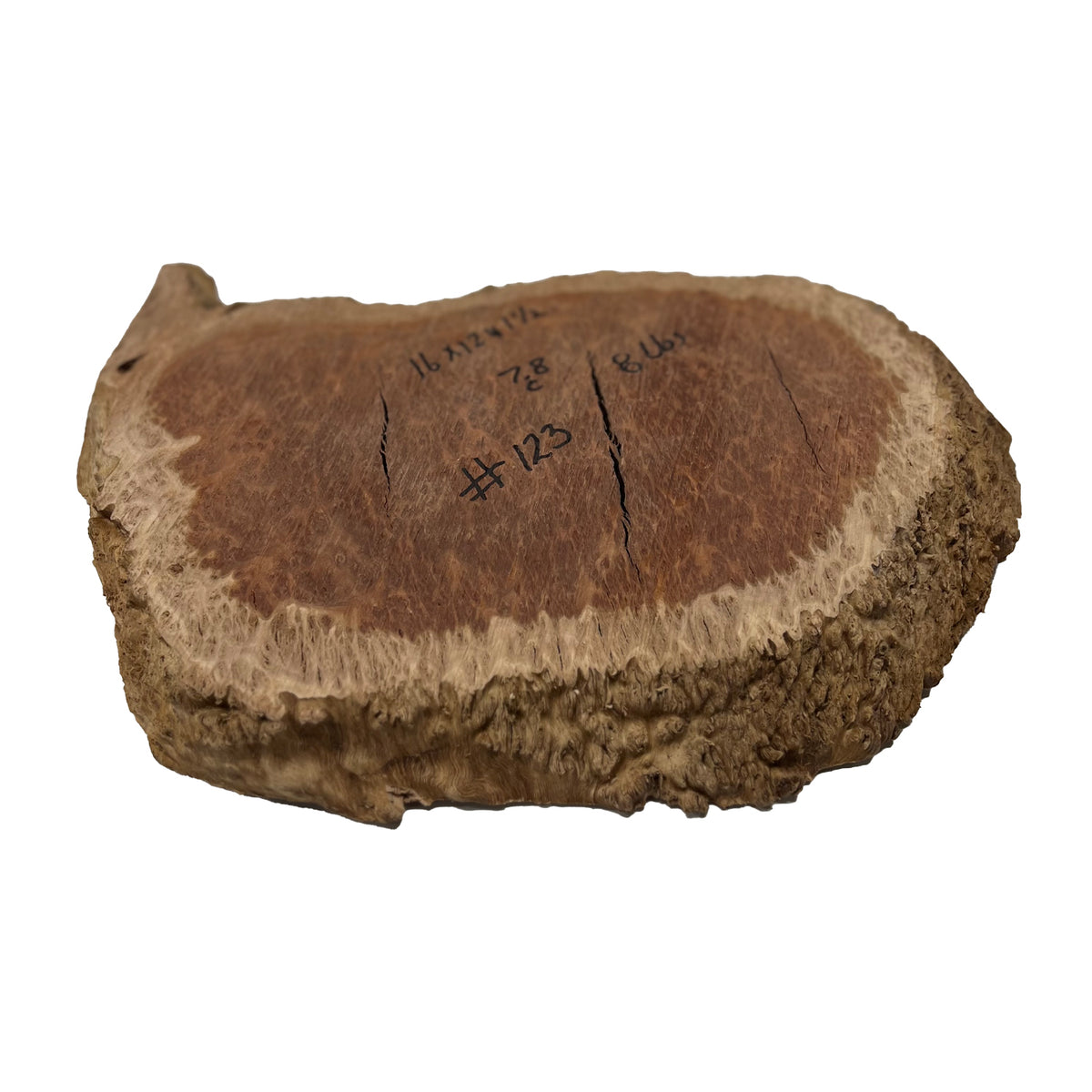 Red Coolibah Burl Cookies | 16" x 12" x 1-1/2" | 8 lbs | #123 - Exotic Wood Zone - Buy online Across USA 