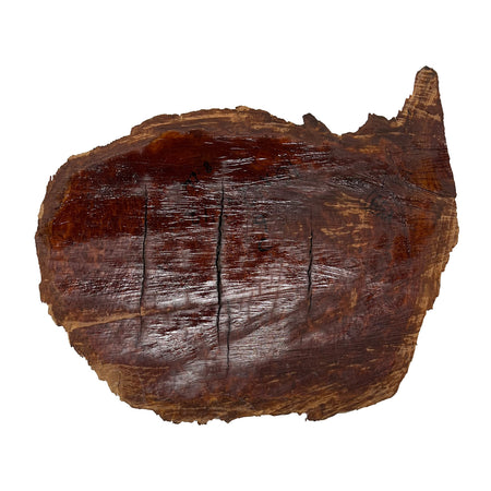 Red Coolibah Burl Cookies | 16" x 12" x 1-1/2" | 8 lbs | #123 - Exotic Wood Zone - Buy online Across USA 