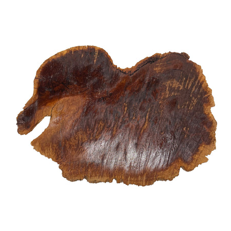 Red Coolibah Burl Cookies |17"x 16" x 1-1/2" | 7.45 lbs | #126 - Exotic Wood Zone - Buy online Across USA 