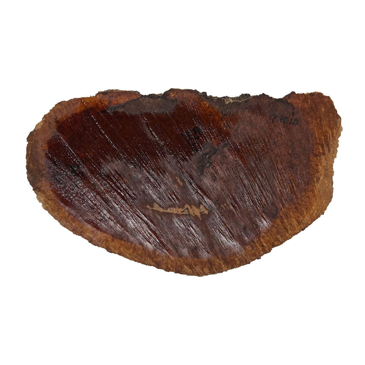 Red Coolibah Burl Cookies | 16" x 10" x 1-1/2" | 7lbs | #136 - Exotic Wood Zone - Buy online Across USA 