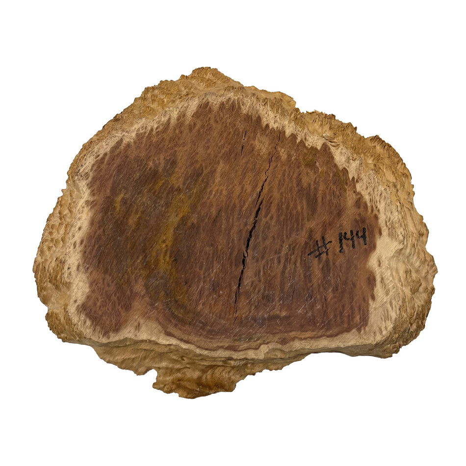 Red Coolibah Burl Cookies | 14" x 12" x 1-1/2" | 6.5 lbs | #144 - Exotic Wood Zone - Buy online Across USA 