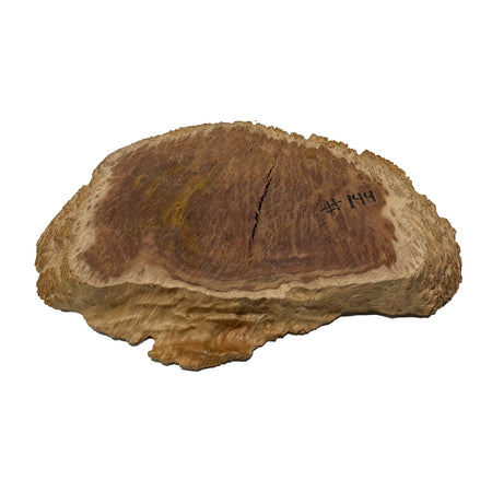 Red Coolibah Burl Cookies | 14" x 12" x 1-1/2" | 6.5 lbs | #144 - Exotic Wood Zone - Buy online Across USA 