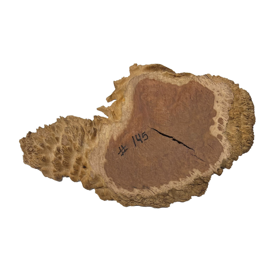 Red Coolibah Burl Cookies | 17" x 9" x 1-1/2" | 4.85 lbs | #145 - Exotic Wood Zone - Buy online Across USA 