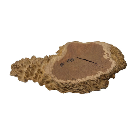 Red Coolibah Burl Cookies | 17" x 9" x 1-1/2" | 4.85 lbs | #145 - Exotic Wood Zone - Buy online Across USA 