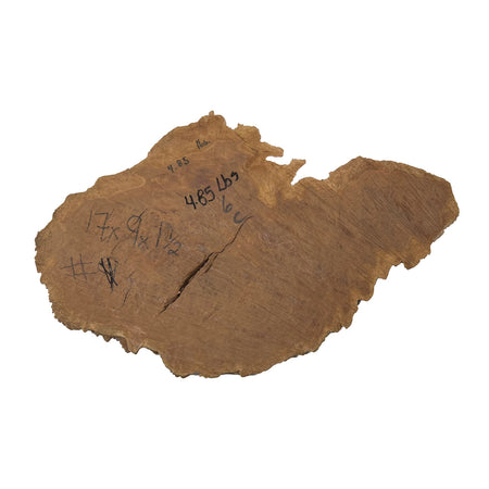 Red Coolibah Burl Cookies | 17" x 9" x 1-1/2" | 4.85 lbs | #145 - Exotic Wood Zone - Buy online Across USA 