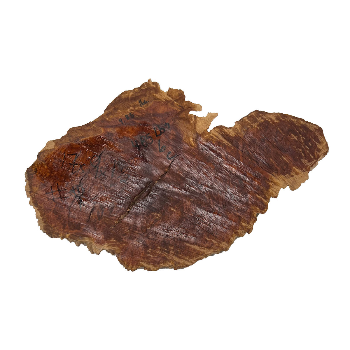 Red Coolibah Burl Cookies | 17" x 9" x 1-1/2" | 4.85 lbs | #145 - Exotic Wood Zone - Buy online Across USA 