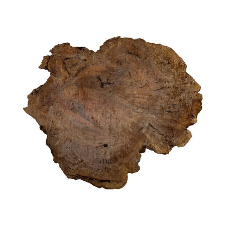 Red Gum Burl Cookies/Slabs18" x 14" x 1-1/2" | 10.1lbs | #15 - Exotic Wood Zone - Buy online Across USA 