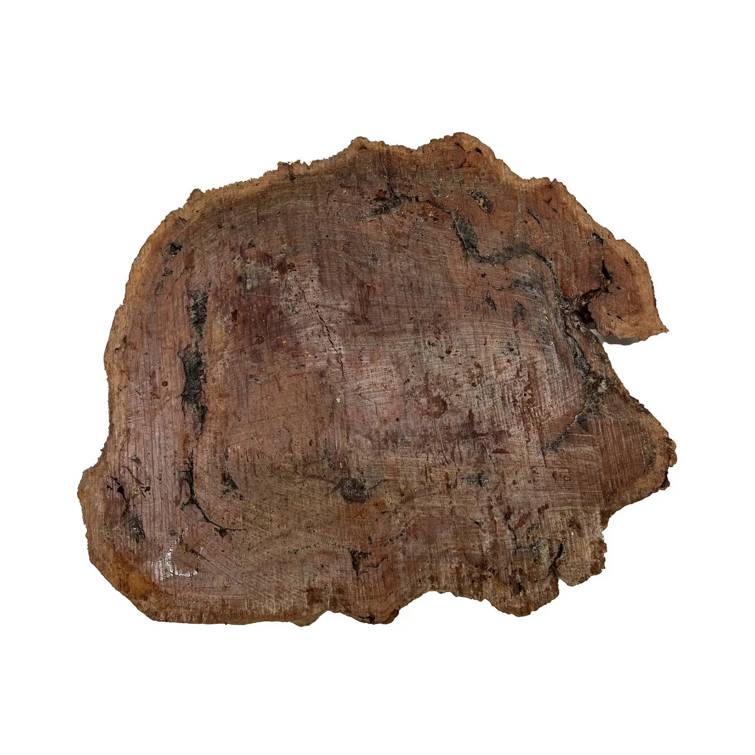 Red Gum Burl Cookies/Slabs 16" x 14" x 1-3/8" | 11.15 lbs | #19 - Exotic Wood Zone - Buy online Across USA 