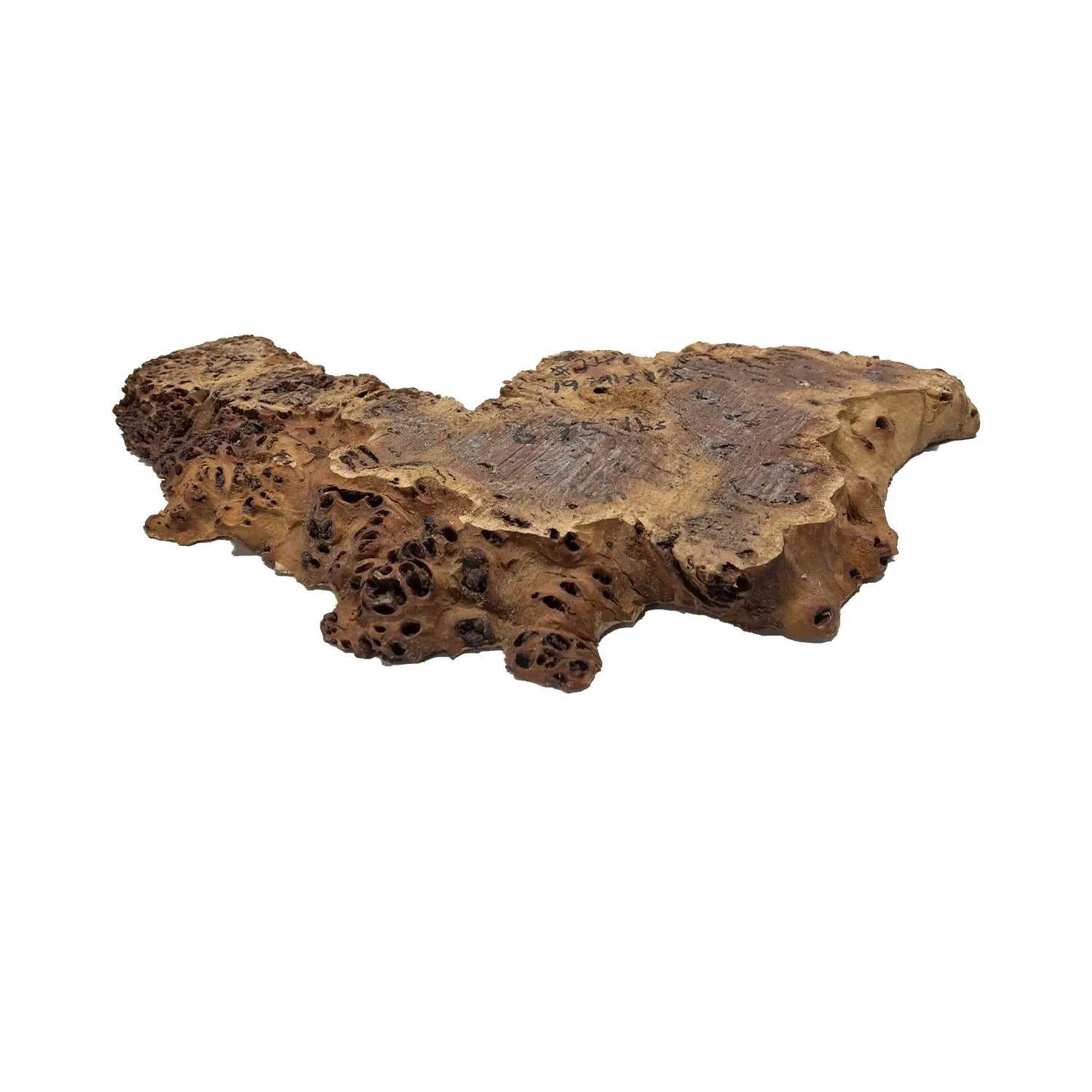 Red Gum Burl Cookies/Slabs 19" x 11" x 1-1/2" | 7.5 lbs | #22 - Exotic Wood Zone - Buy online Across USA 