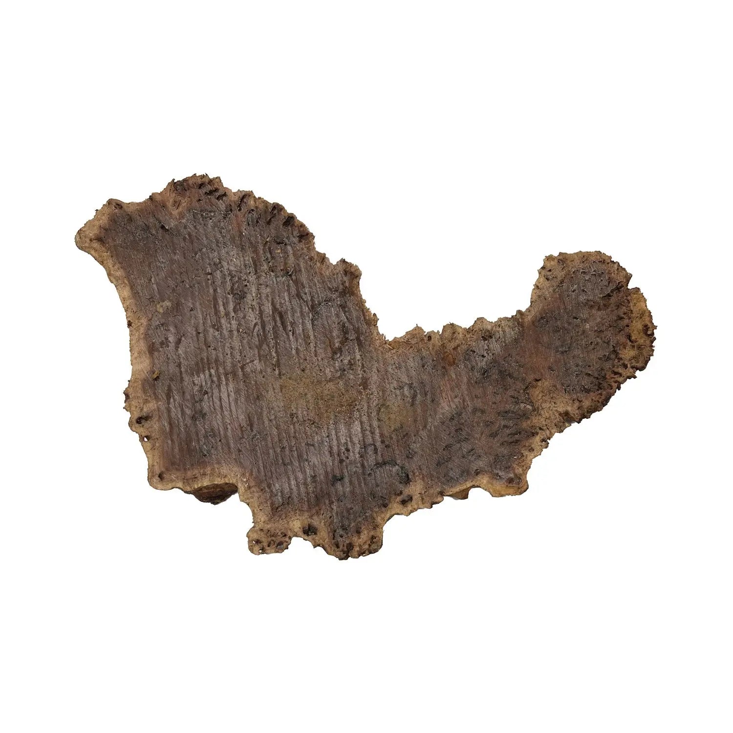 Red Gum Burl Cookies/Slabs 19" x 11" x 1-1/2" | 7.5 lbs | #22 - Exotic Wood Zone - Buy online Across USA 